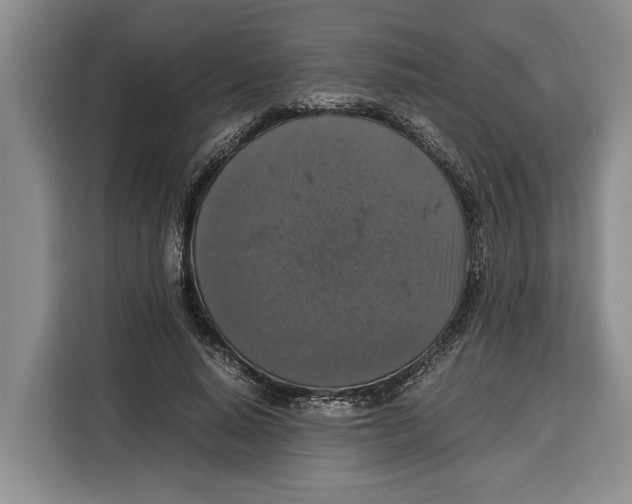 X0000115120640200911241348