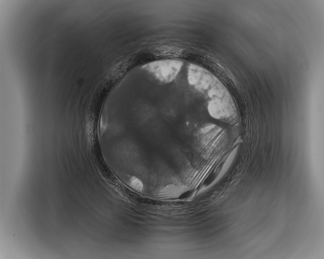 X0000115120641200911241348