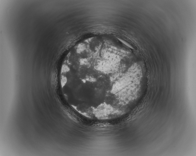 X0000115120642200911241348