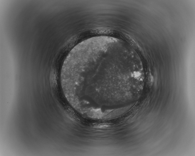 X0000115120643200911241348