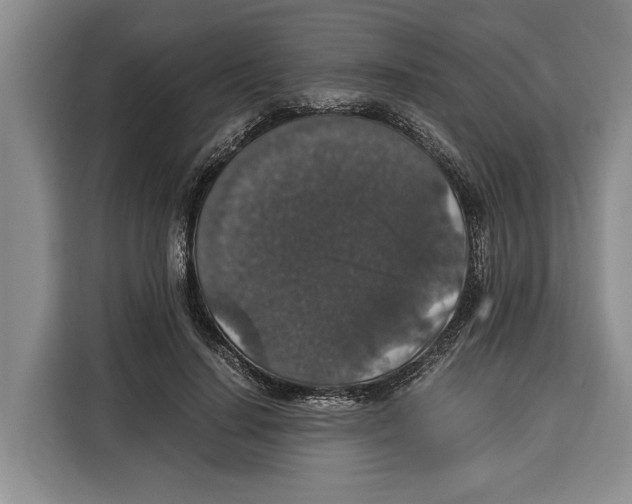 X0000115120644200911241348