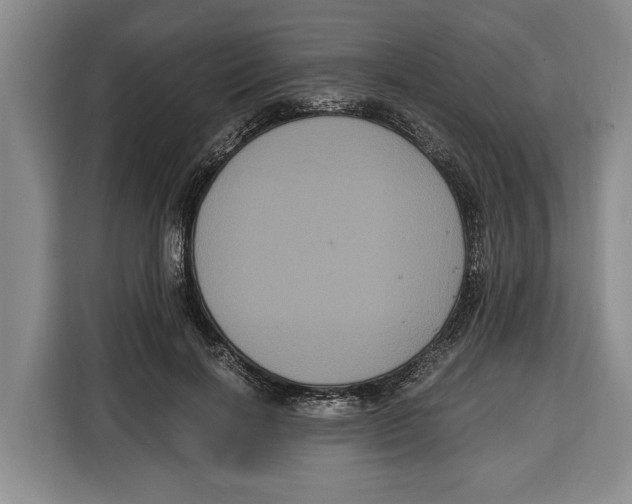 X0000115120646200911241348