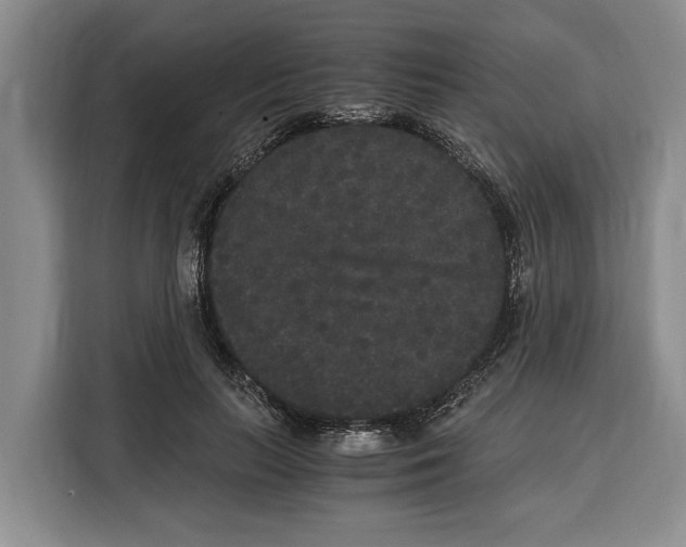 X0000115120647200911241348