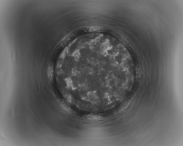 X0000115120648200911241348