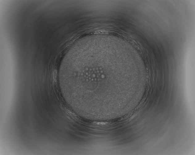 X0000115120649200911241348