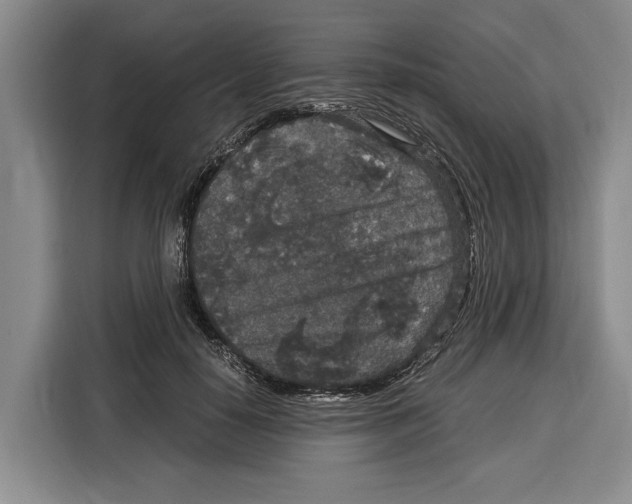 X0000115120650200911241348