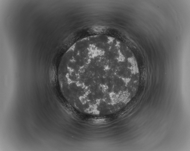 X0000115120651200911241348