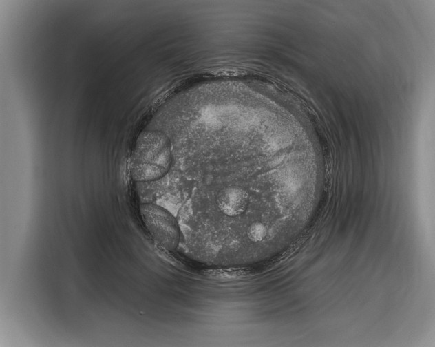 X0000115120652200911241348