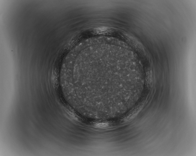 X0000115120653200911241348