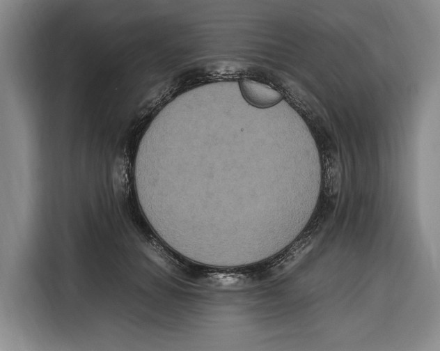 X0000115120654200911241348