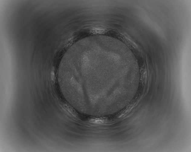 X0000115120655200911241348