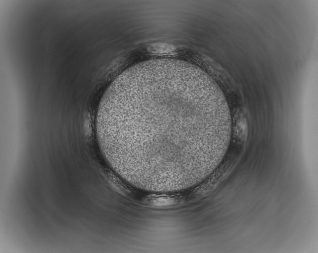 X0000115120658200911241348