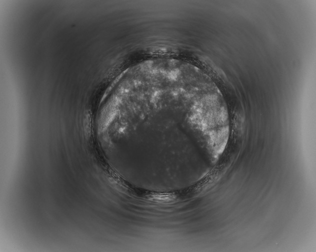 X0000115120659200911241348