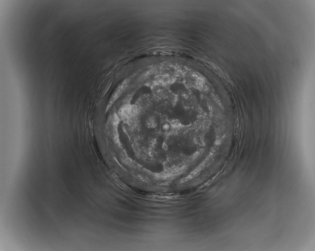 X0000115120661200911241348