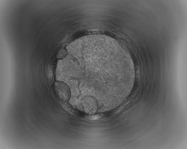 X0000115120662200911241348