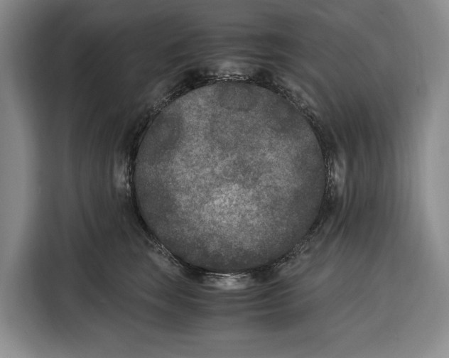 X0000115120663200911241348