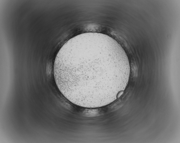 X0000115120665200911241348