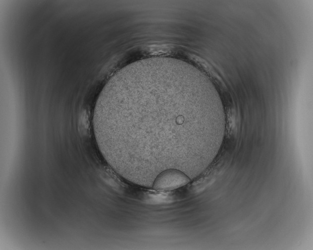 X0000115120667200911241348