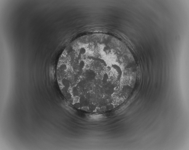 X0000115120669200911241348