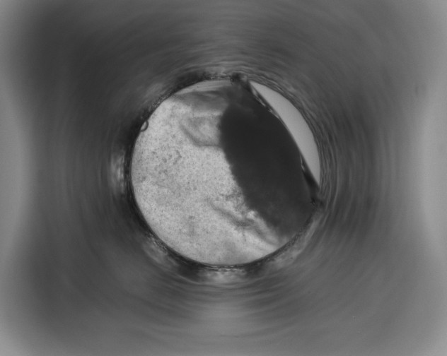 X0000115120670200911241348