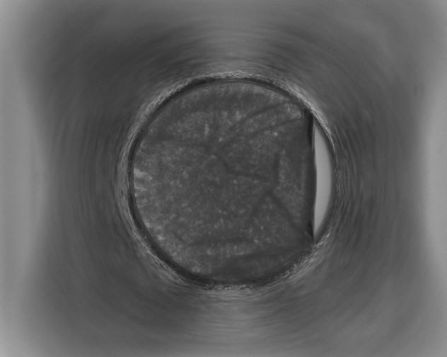 X0000115120673200911241348