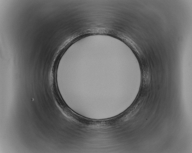 X0000115120674200911241348