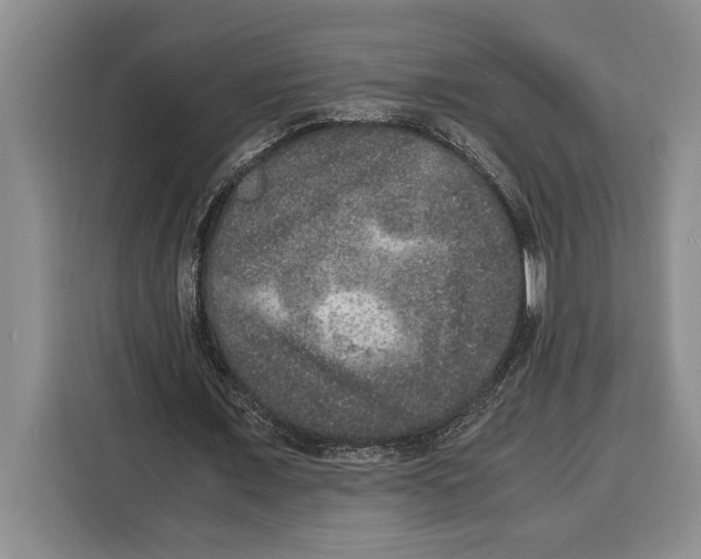 X0000115120675200911241348