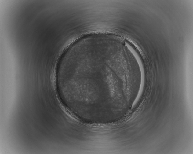 X0000115120677200911241348