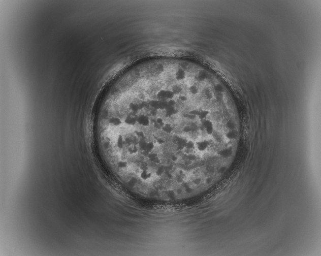 X0000115120679200911241348