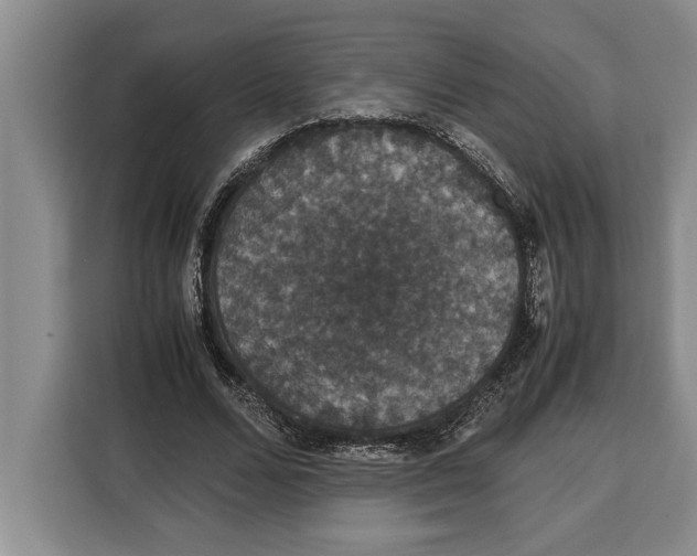 X0000115120680200911241348