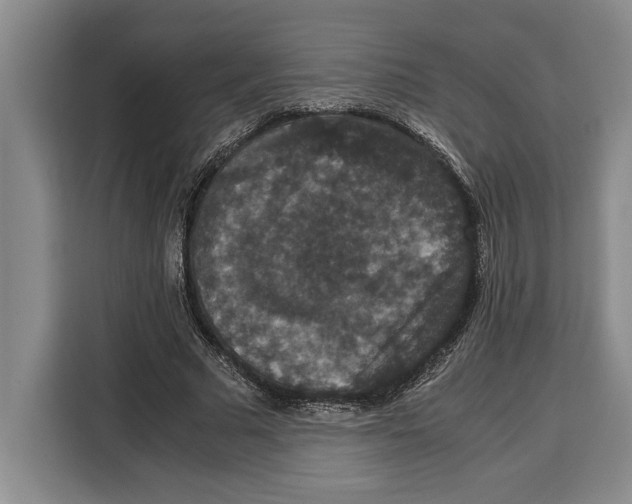 X0000115120681200911241348