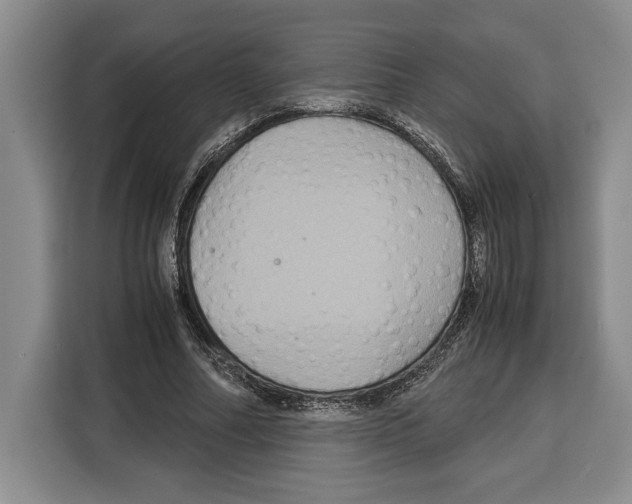 X0000115120682200911241348