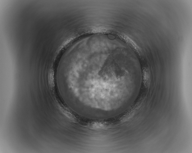 X0000115120684200911241348