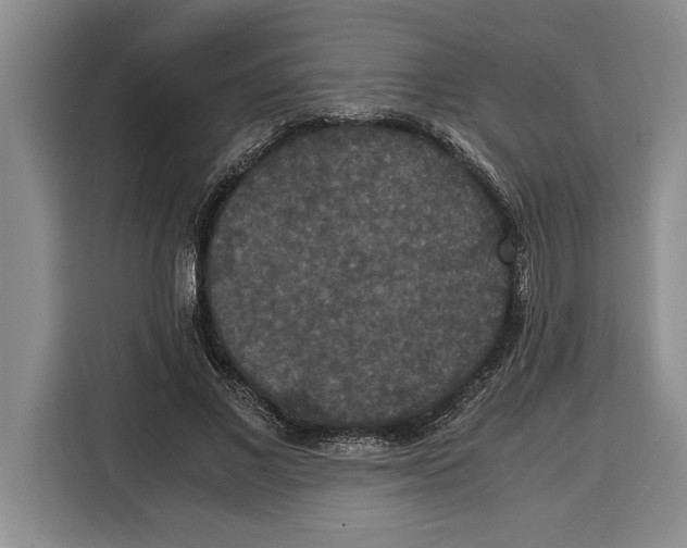 X0000115120685200911241348