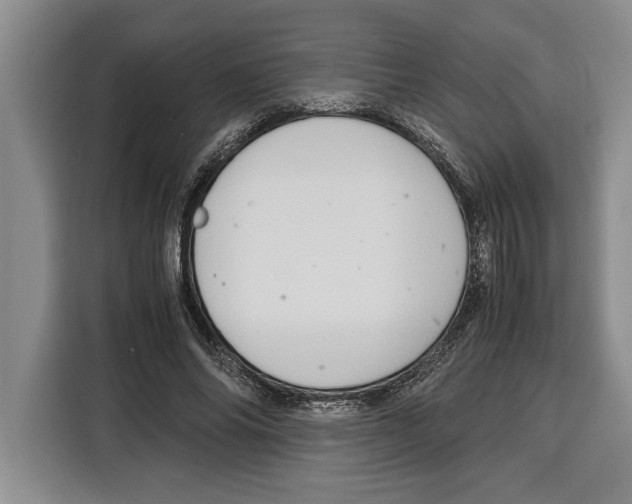 X0000115120686200911241347