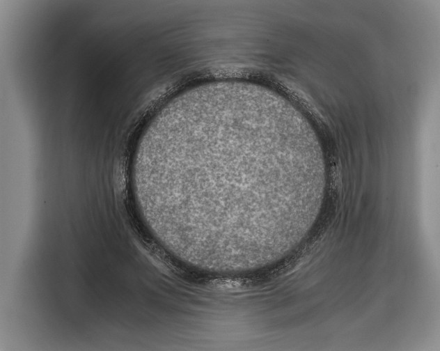 X0000115120687200911241347