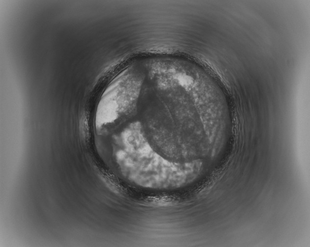 X0000115120688200911241347