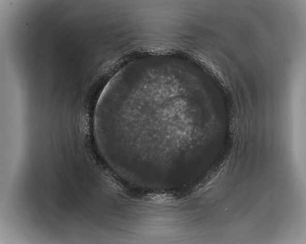 X0000115120689200911241347