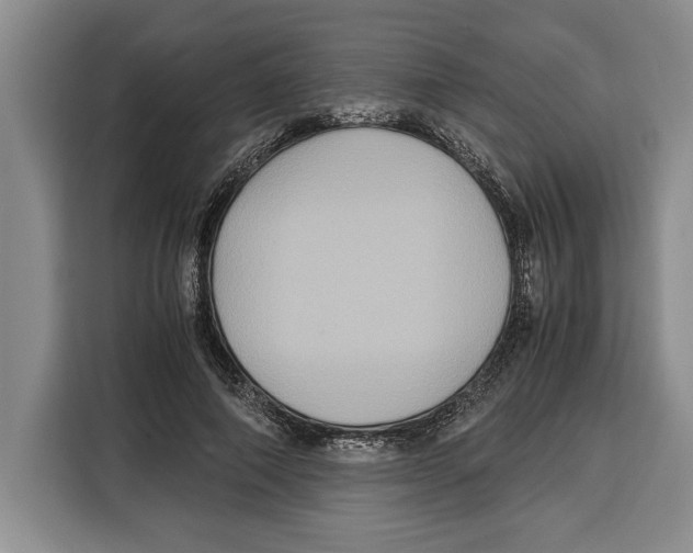 X0000115120690200911241347