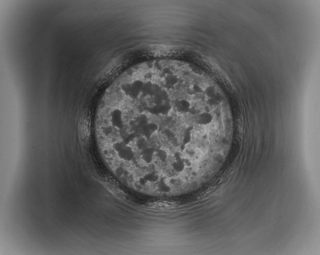 X0000115120691200911241347