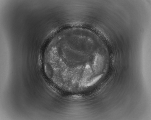 X0000115120692200911241347