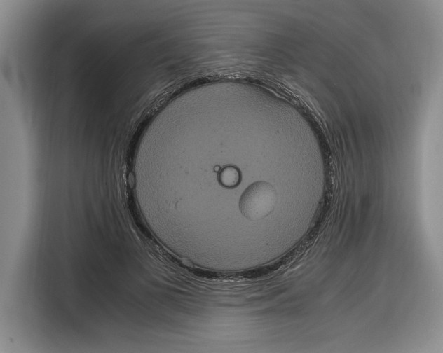 X0000115120693200911241347