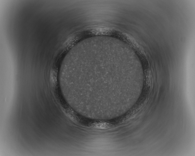 X0000115120695200911241347