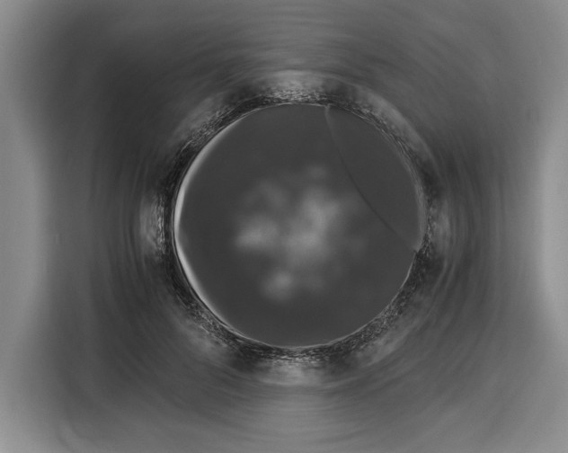 X0000115120696200911241347