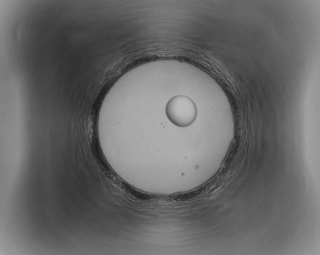 X0000115120697200911241347