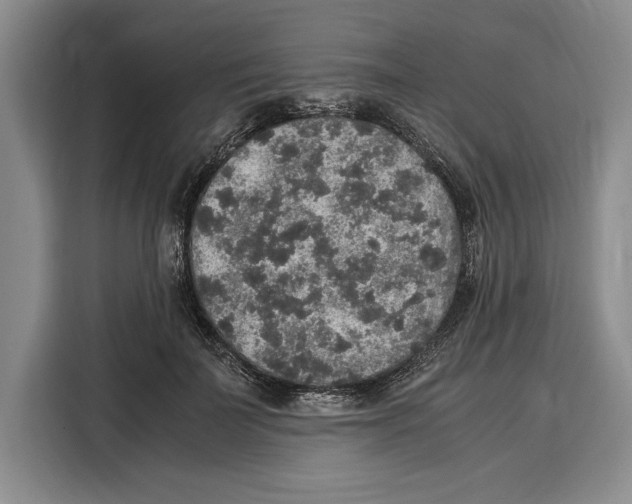 X0000115120699200911241347