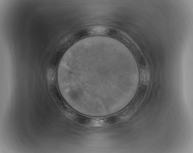 X0000115120701200911241347