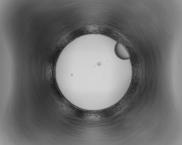 X0000115120702200911241347