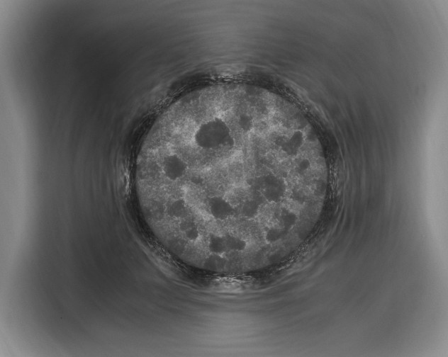 X0000115120703200911241347