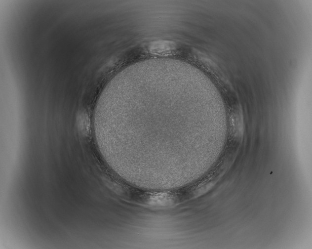 X0000115120705200911241347